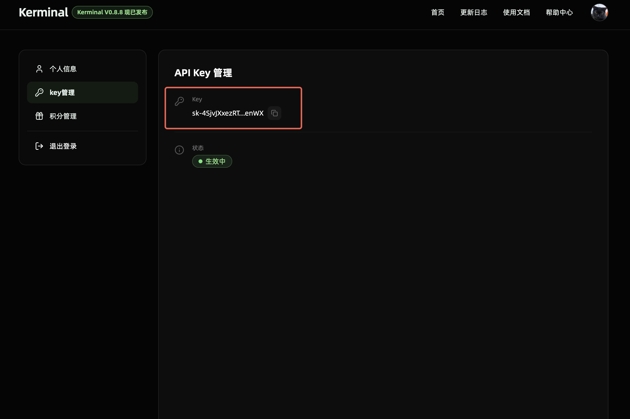 Kerminal 获取 API Key 示例